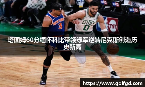 凯捷体育平台