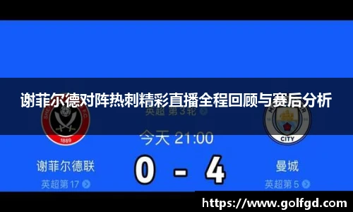 谢菲尔德对阵热刺精彩直播全程回顾与赛后分析