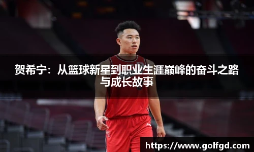 贺希宁：从篮球新星到职业生涯巅峰的奋斗之路与成长故事